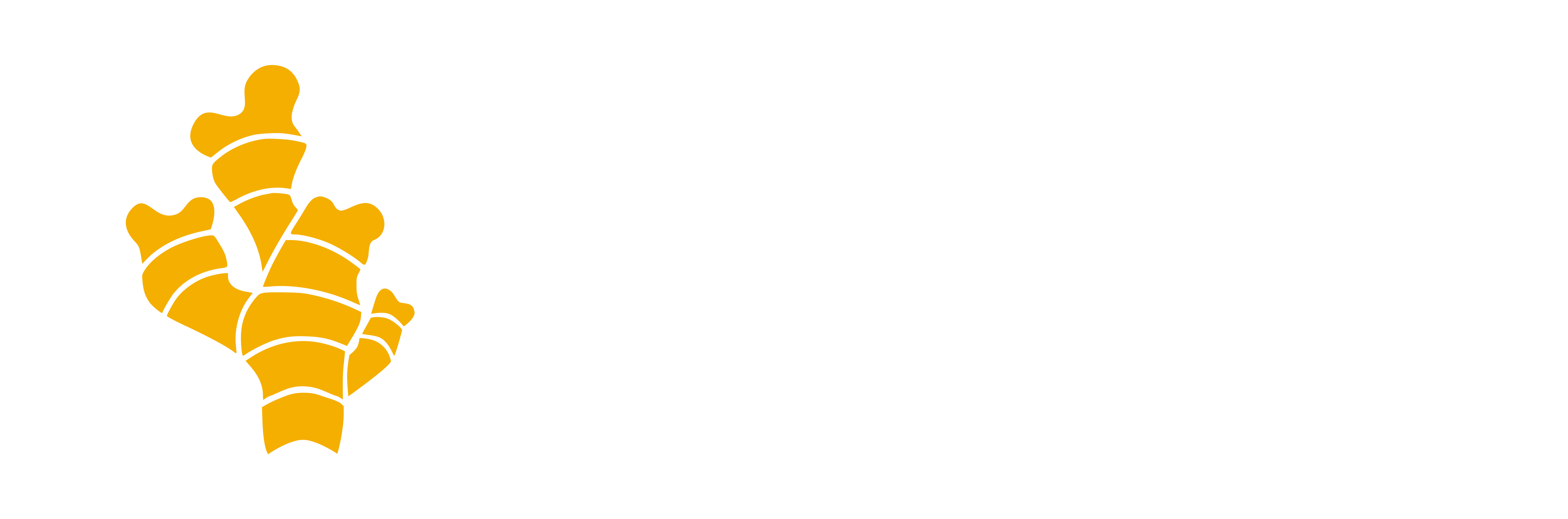 GINGR – Global Initiative for Nature, Grids and Renewables