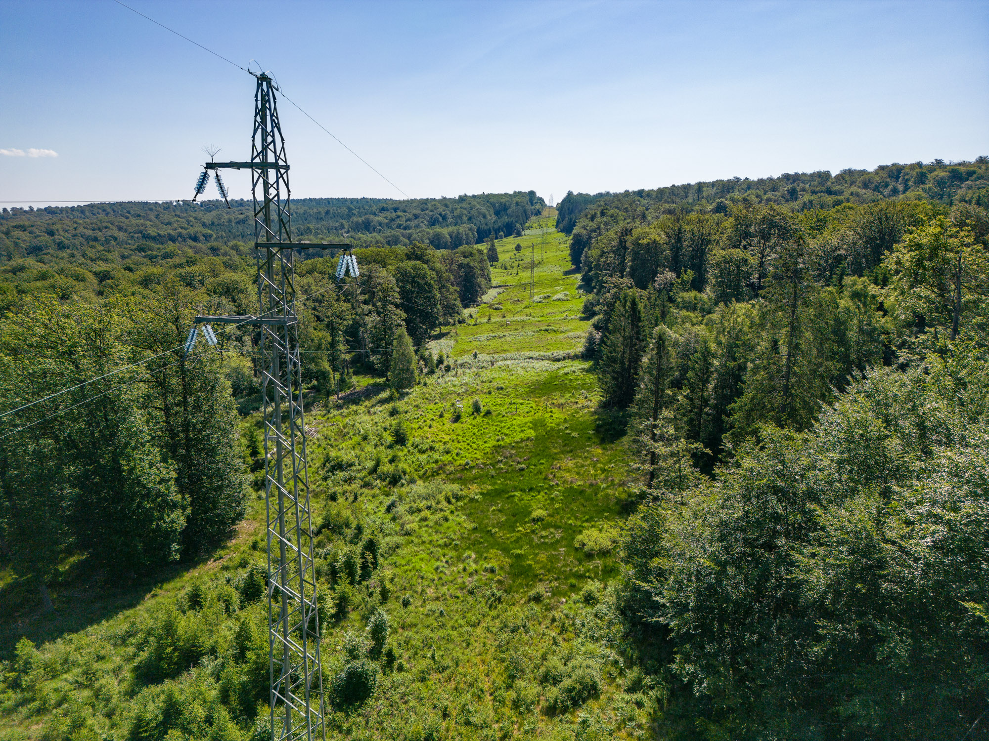 Power transmission corridor through forest