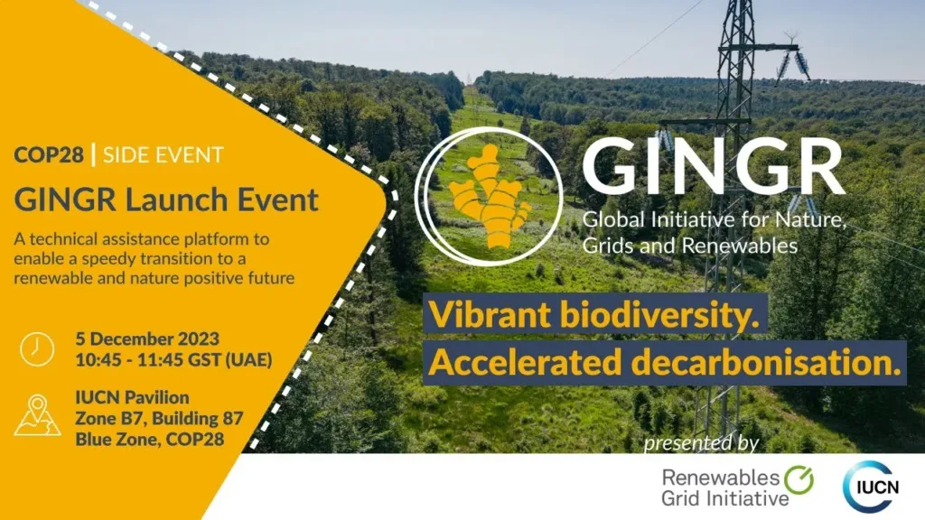 The recording of the official launch of GINGR at COP28
