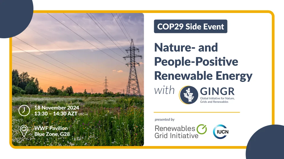 GINGR at COP29 in Baku