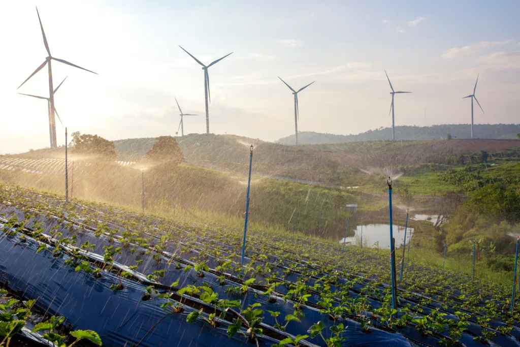 GINGR celebrates a milestone year and launches its official newsletter in 2025