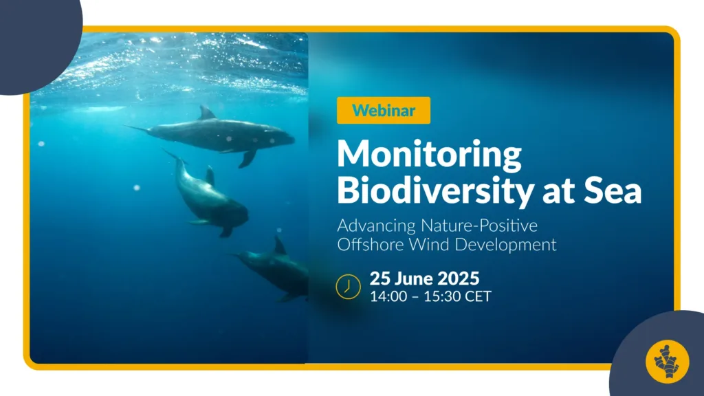 [RECORDING] Monitoring Biodiversity at Sea: Advancing Nature-Positive Offshore Wind Development