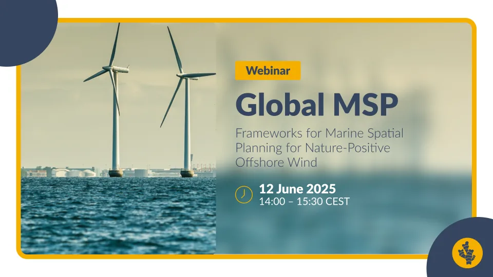 [RECORDING] Global MSP: Frameworks for Maritime Spatial Planning for Nature-Positive Offshore Wind