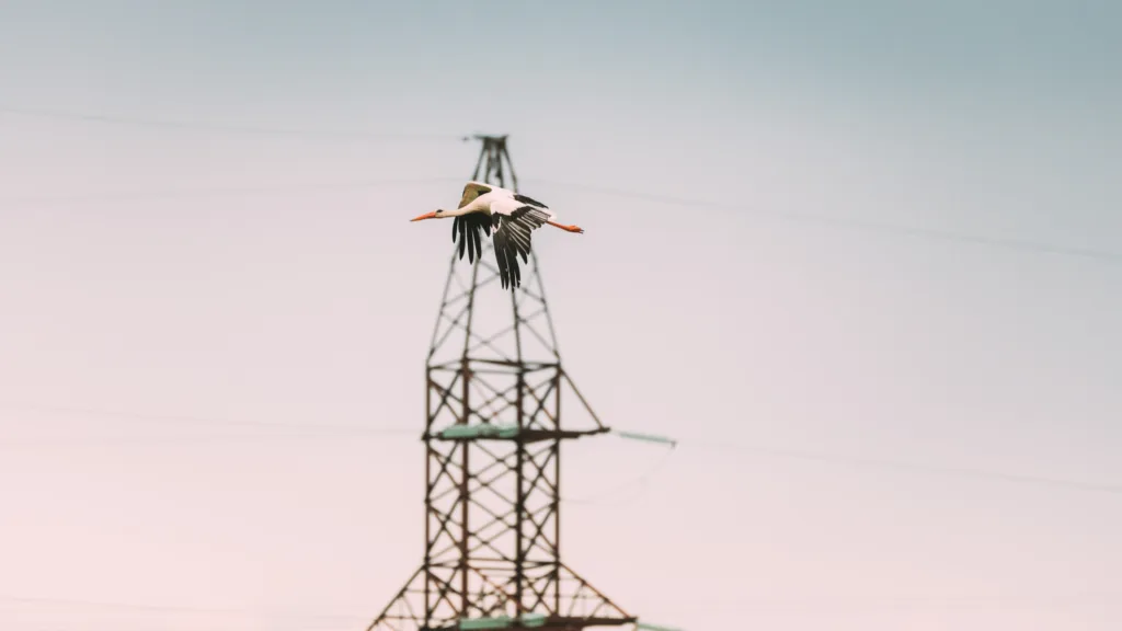 [CALL FOR PROPOSALS] Scoping Report on Environmental Reporting for Renewables and Grids