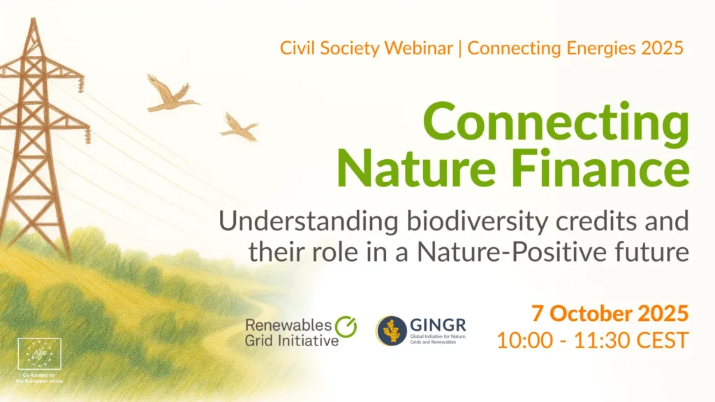 [RECORDING] Connecting Nature Finance: Understanding biodiversity credits and their role in a nature-positive future