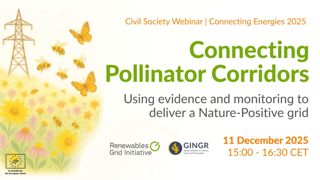 [RECORDING] Connecting Pollinator Corridors: Using evidence and monitoring to deliver a Nature-Positive grid