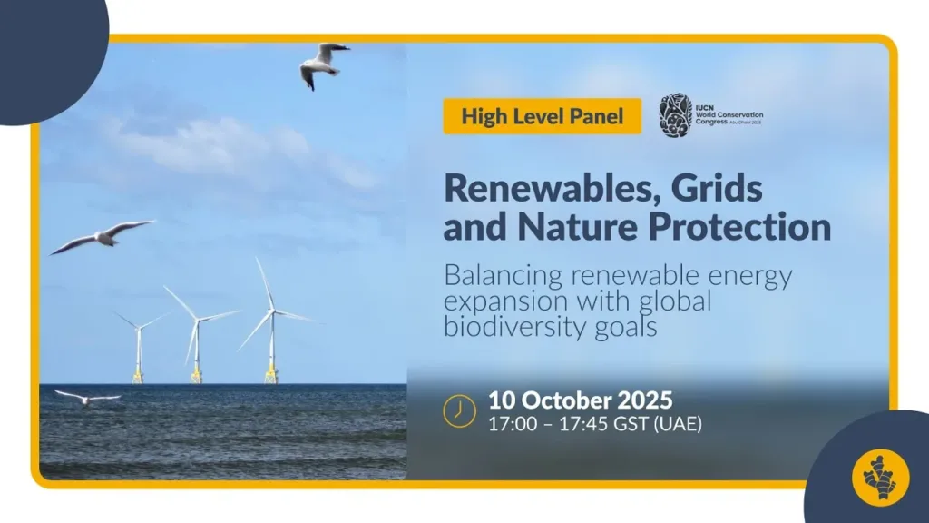 [RECORDING] High-Level Panel on Renewables, Grids, and Nature Protection
