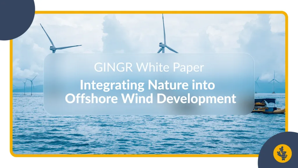 GINGR White Paper: Integrating Nature into Offshore Wind Development