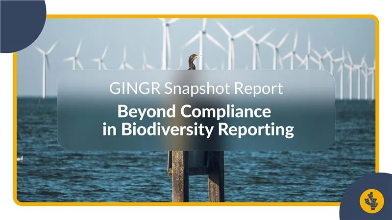 GINGR Snapshot Report: Beyond Compliance in Biodiversity Reporting