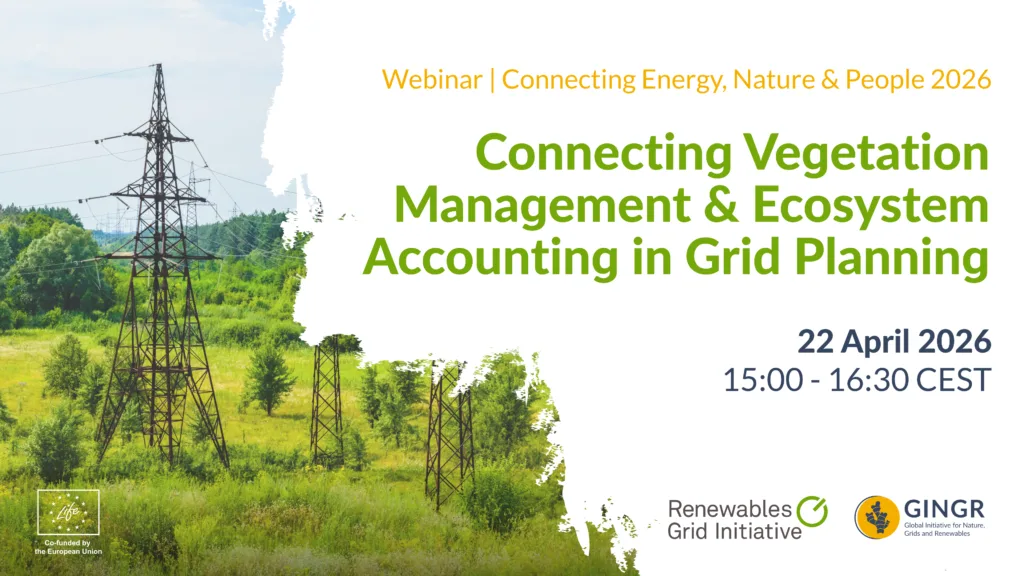 [RECORDING] Connecting Vegetation Management & Ecosystem Accounting in Grid Planning