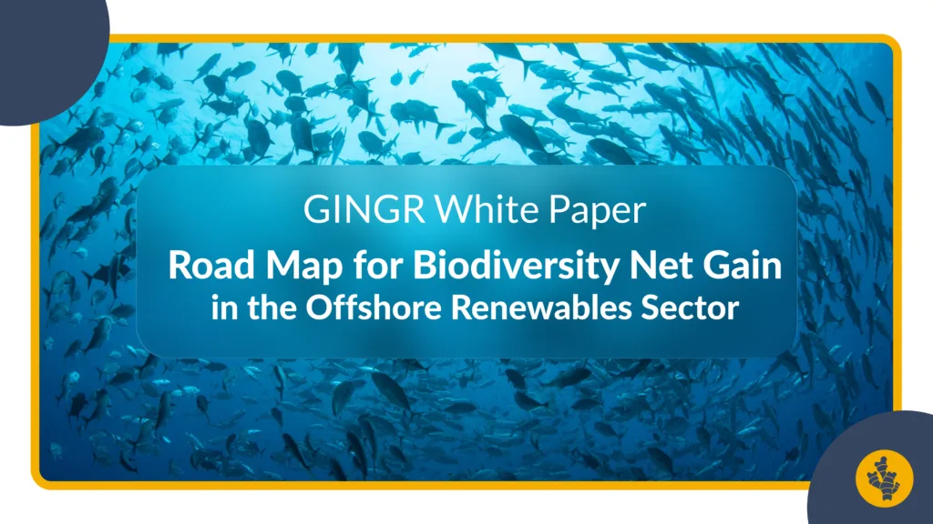 Powering Offshore Wind for Biodiversity Net Gain
