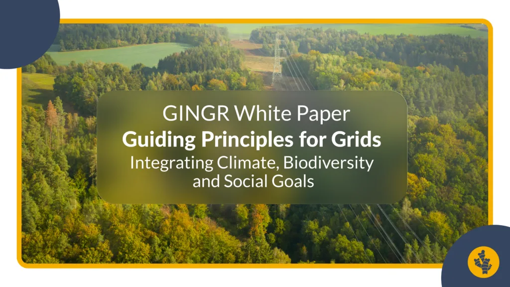 Guiding Principles to Integrate Climate, Biodiversity & Social Goals