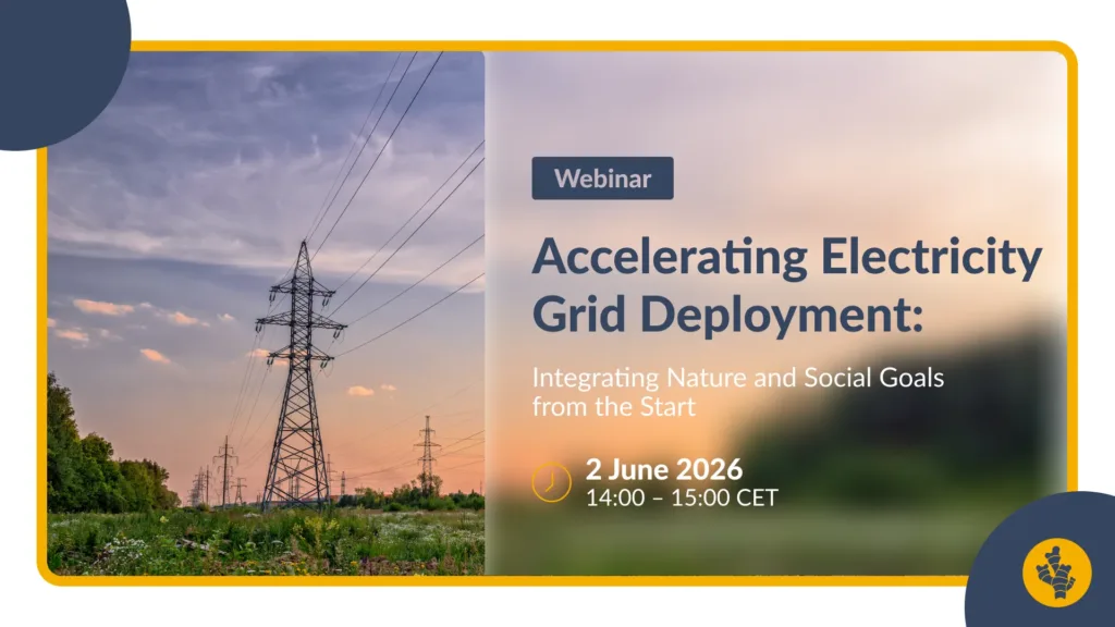 [RECORDING] Accelerating Electricity Grid Deployment: Integrating Nature and Social Goals from the Start