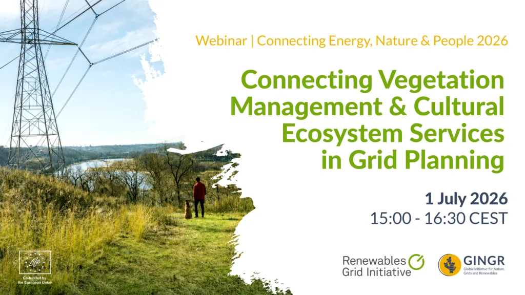 [RECORDING] Connecting Vegetation Management & Cultural Ecosystem Services in Grid Planning