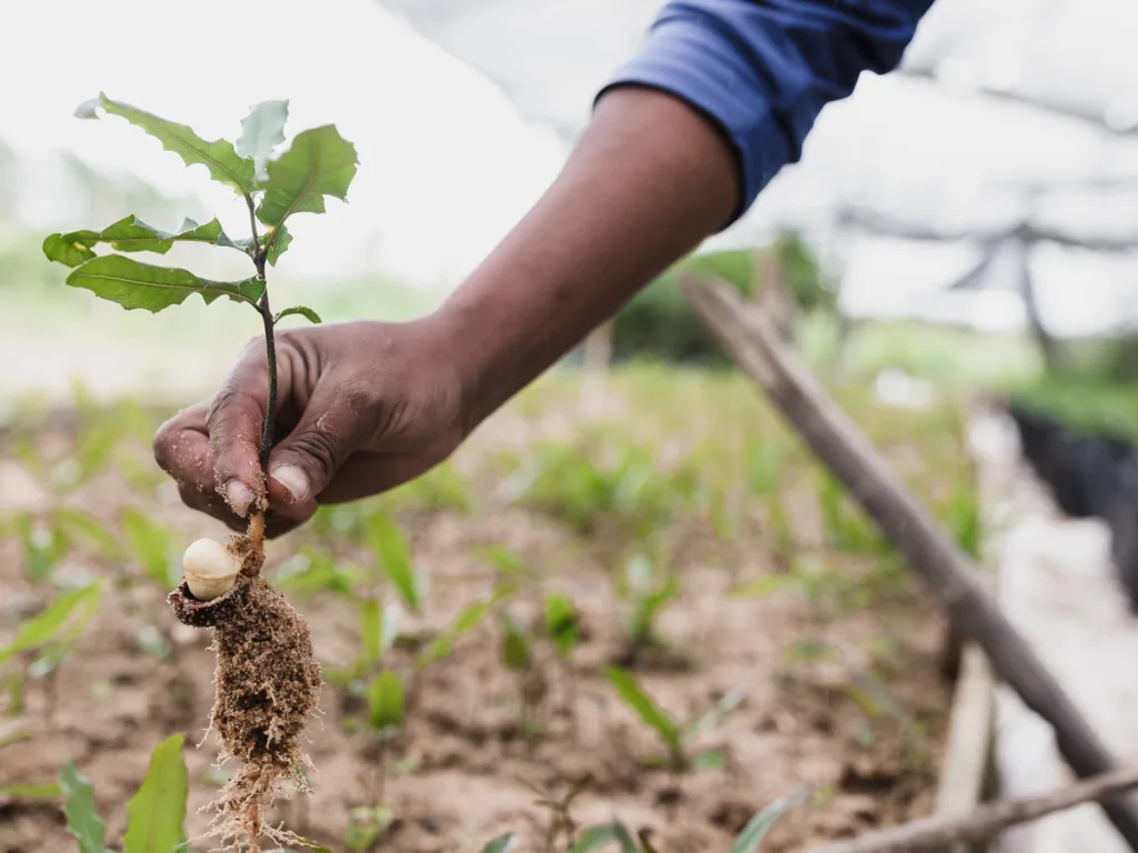 PANORAMA Solutions for a Healthy Planet