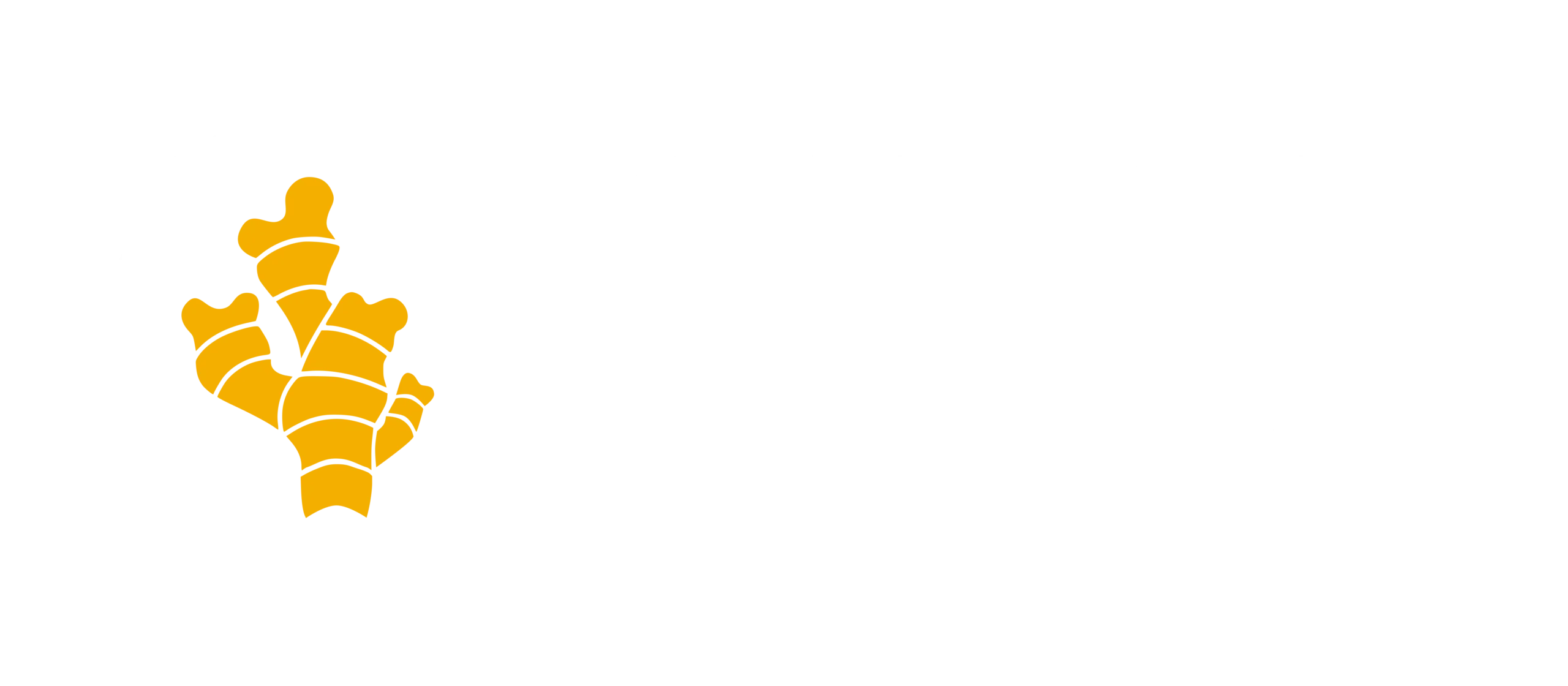 GINGR