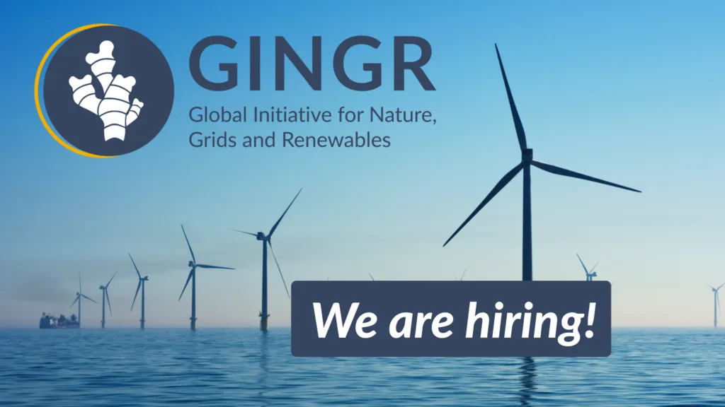 We Are Hiring: Communication Positions for GINGR