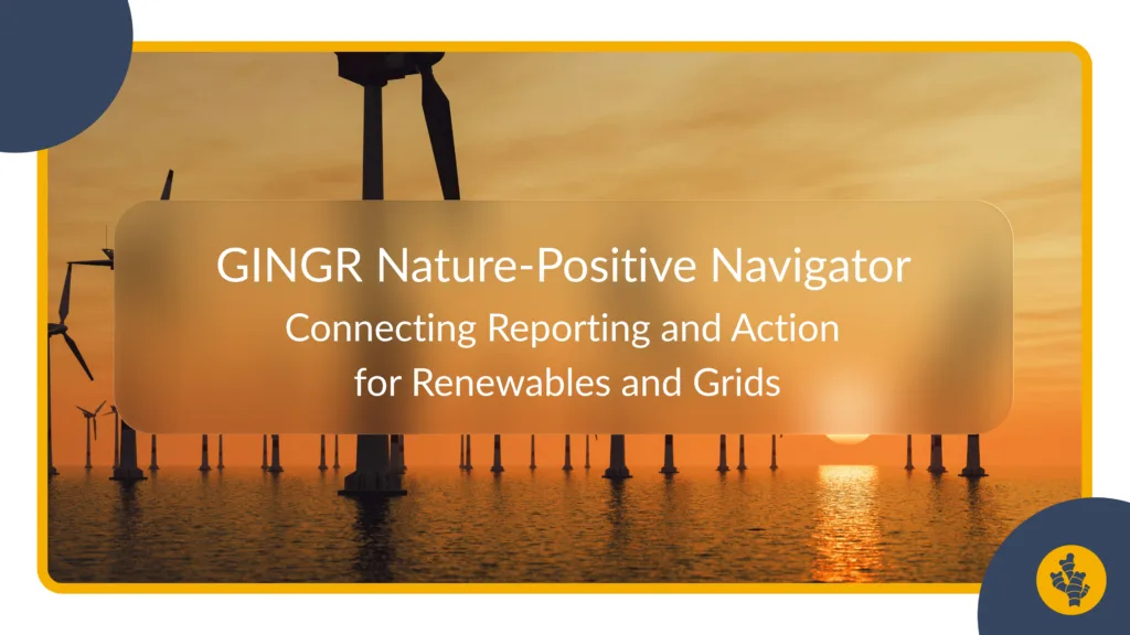 Connecting Reporting to Action: Introducing the GINGR Nature-Positive Navigator 